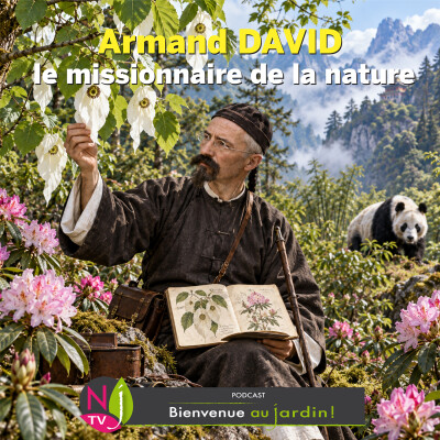 #84: LES GRANDES FIGURES DU JARDIN : MISSIONNAIRE BOTANISTE cover