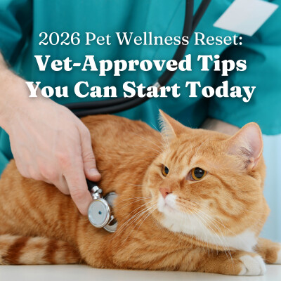 2026 Pet Wellness Reset: Vet-Approved Tips You Can Start Today for Dogs and Cats that Pet Parents Should Save or Follow cover