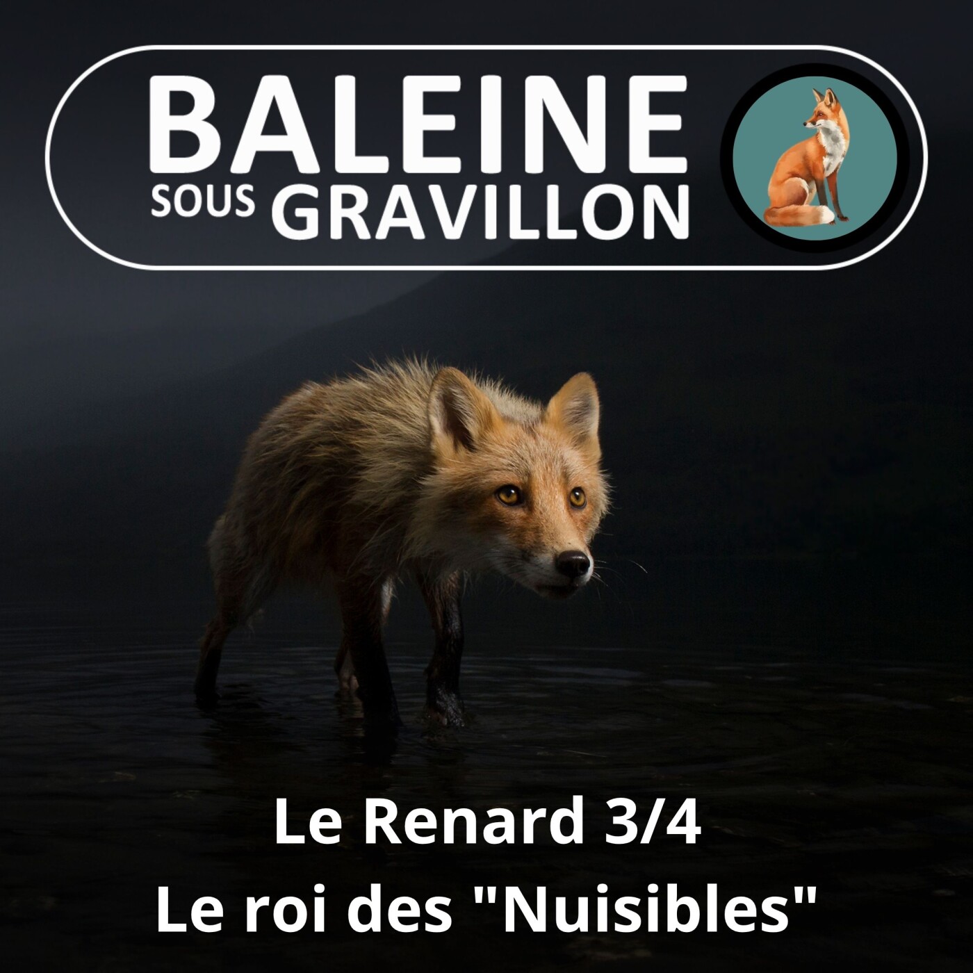 S04E36 Le Renard 3/4 : Malin, adaptable, utile... MAIS "régulé" (massacré) à l'année ! episode artwork