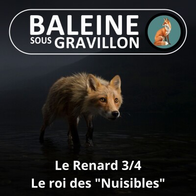 S04E36 Le Renard 3/4 : Malin, adaptable, utile... MAIS "régulé" (massacré) à l'année ! cover