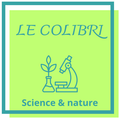 Le Colibri: oiseau iridescent au battement d'aile très rapide cover