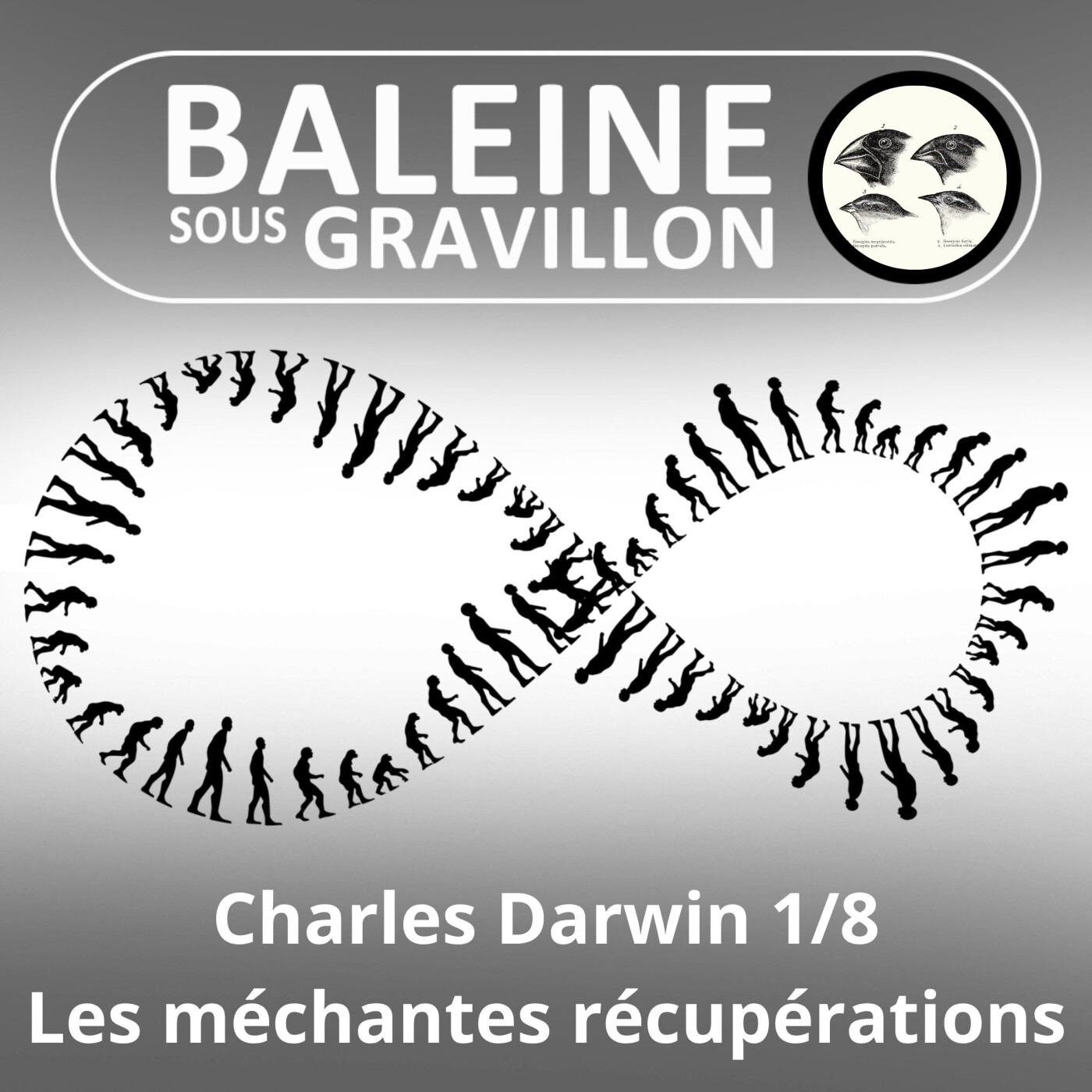 S03E95 Charles Darwin 8/8 : Du darwinisme à l'eugénisme, les récupérations (Jean-Claude Simard) episode artwork