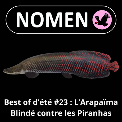 BEST OF D'ÉTÉ #23 : Le blindage anti-Piranha de l'Arapaïma, le poisson géant de l'Amazone cover