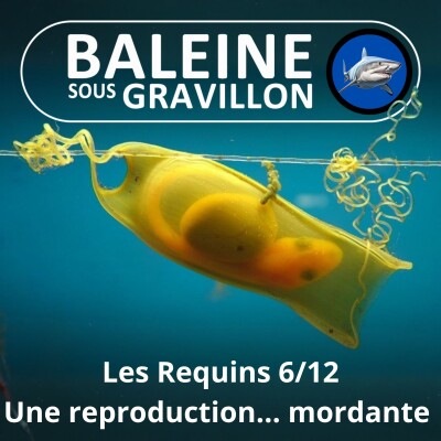 S04E10 Requins 6/12 : Une reproduction plutot... mordante cover