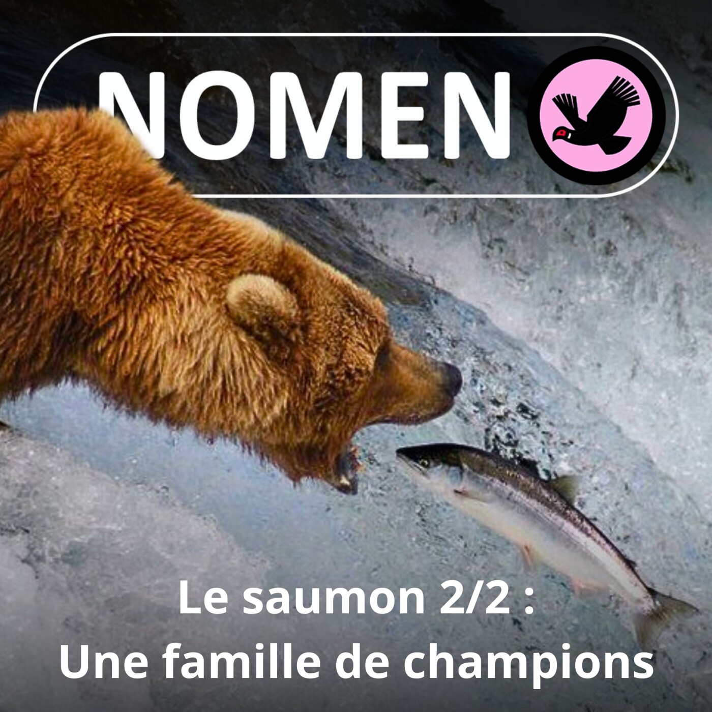S03E23 Remonter les rivières, éviter les griffes des Grizzlies : une vie de Saumon...