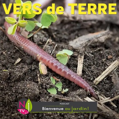 PAROLES D'EXPERTS: QUAND LE SOL DU JARDIN VOIT LA VIE EN VER cover