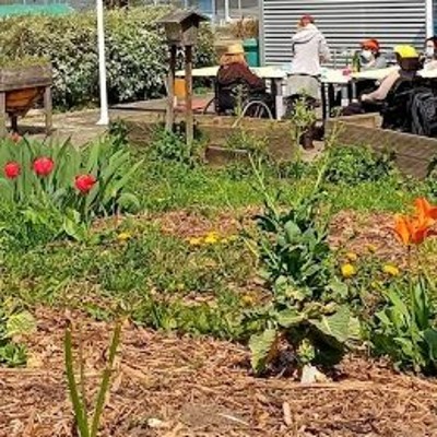 Atelier nature à l'APF France Handicap cover