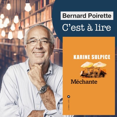 243. "Méchante" de Karine Sulpice cover