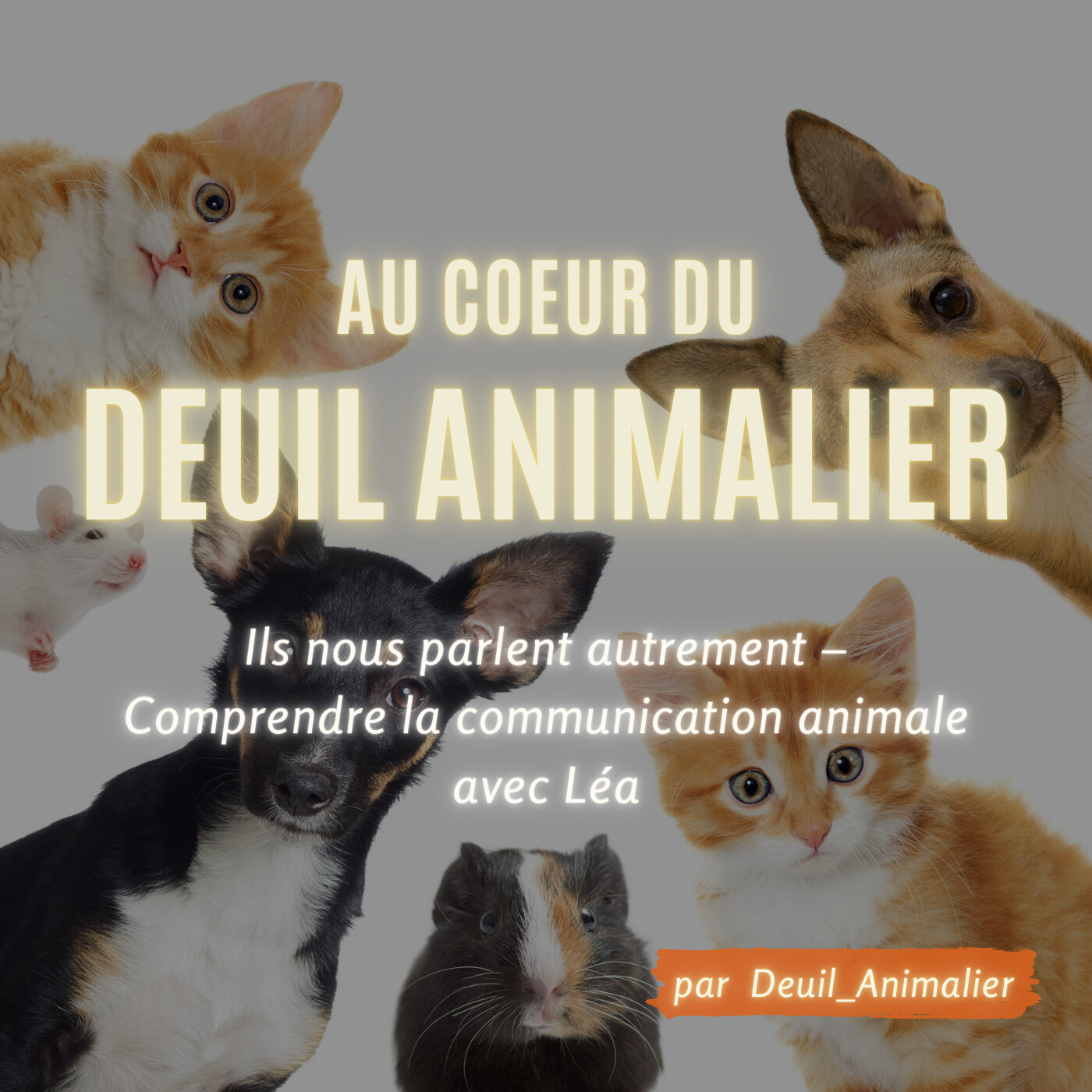 Au cœur du deuil animalier