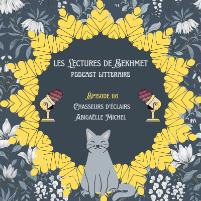 N°116 Chasseurs d'éclairs d'Abigaëlle Michel cover