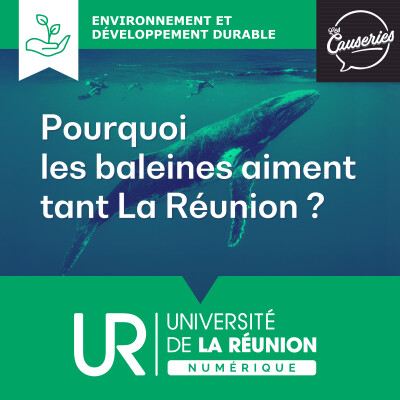 Pourquoi les baleines aiment tant La Réunion ? cover