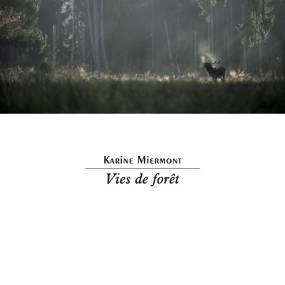 Vies de forêt cover