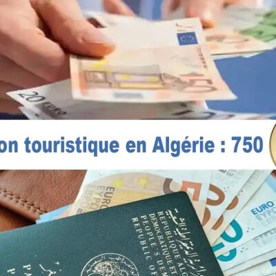 Anarchie, débandade, absurdité et désorganisation en Algérie : tout ça pour 750 euros ! cover