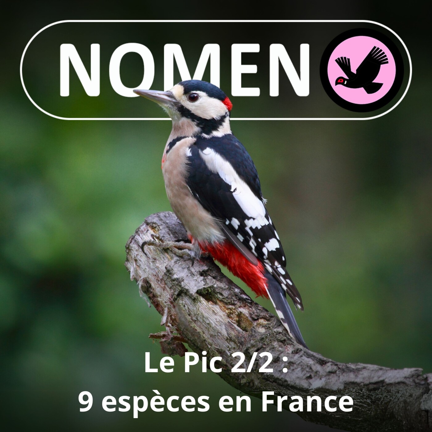 Nomen