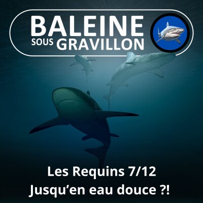 S04E11 Requins 7/12 : Des requins en eau douce ?! Yes, they can ! cover