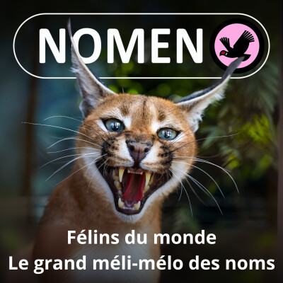 S01E09 Les Félins : Léopard, Jaguar, Tigre et Panthères noires rose, voire des neiges... cover