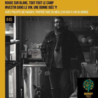 #45 - 🍷 Rouge sur blanc, tout fout le camp ! Investir dans le vin, une bonne idée ? (Philippe Meynadier) cover