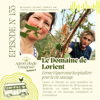 #133 Le Domaine de Lorient 🍇🦇 Ferme Vigneronne Réensauvagée cover