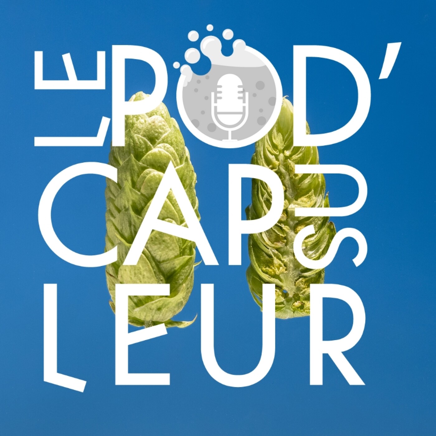 HS#22 Teorem, la 7e variété de houblon d'Alsace
