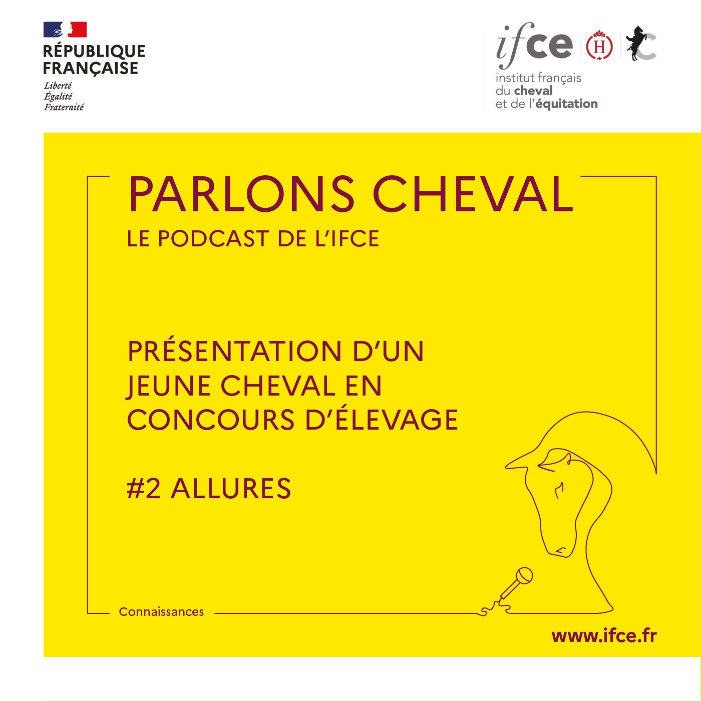 Ép. 2 | Présentation d'un jeune cheval en concours d'élevage - #2 Allures - Patrick Pratlong