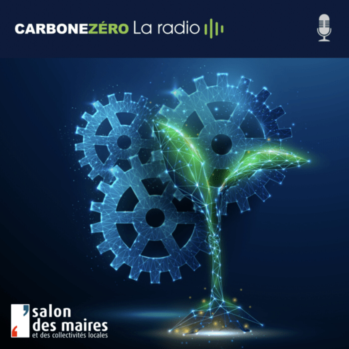 Carbone Zéro, la Radio