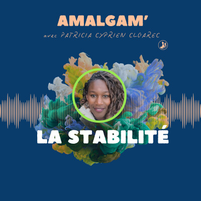 La stabilité cover