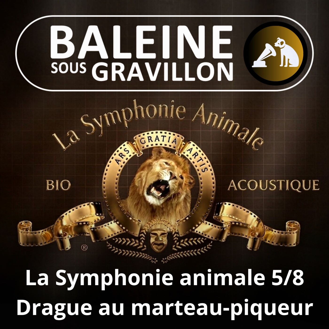 S02E121 La Symphonie animale 5/8 : Le tambourinage du Pic, une drague au marteau-piqueur ! episode artwork