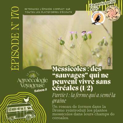 Show cover