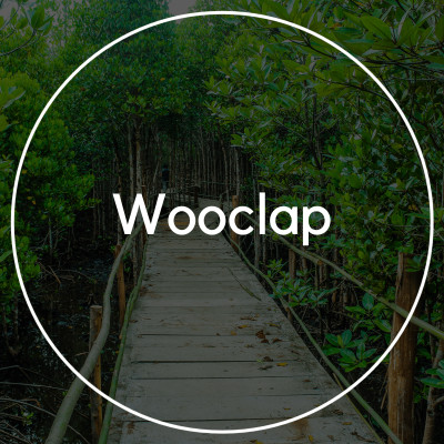 Wooclap cover