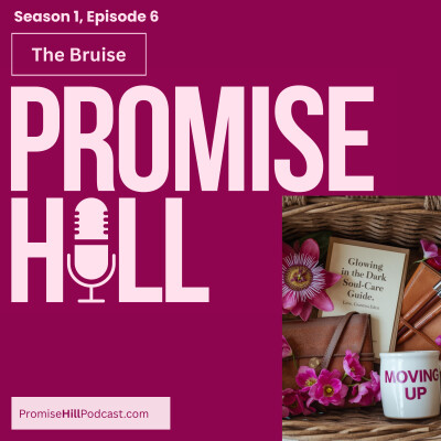Promise Hill S1 Ep 6, The Bruise cover