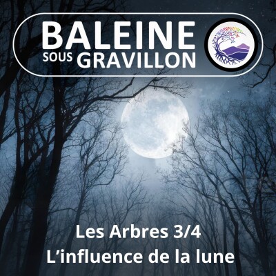 S03E82 Les Arbres 3/8 : L'influence de la lune (Ernst Zürcher) cover