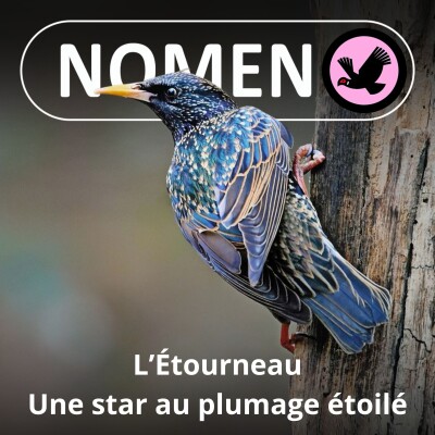 S01E83 L'Étourneau : Une star au plumage étoilé qui a conquis le monde cover