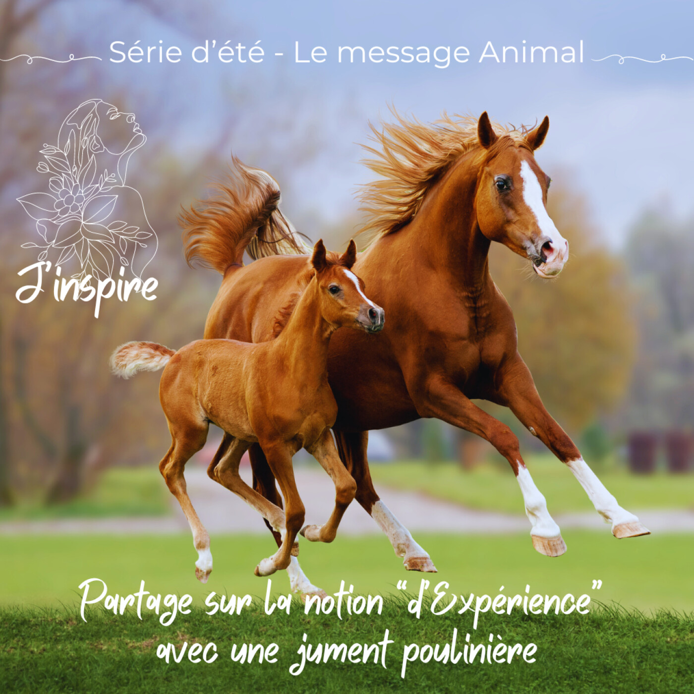 J\'inspire