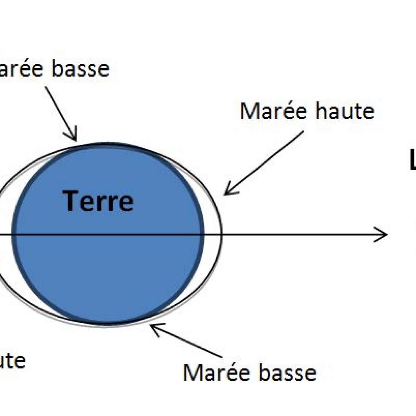 La Minute Scientifique : Les Mystérieuses Marrées episode artwork