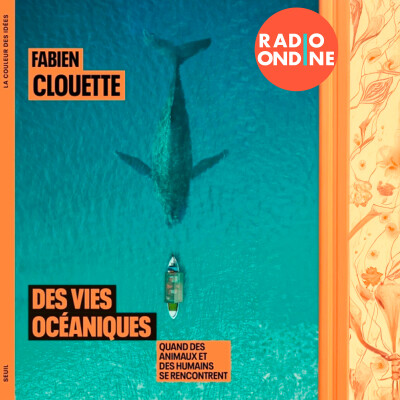 Rencontre avec Fabien Clouette - Des vies océaniques cover