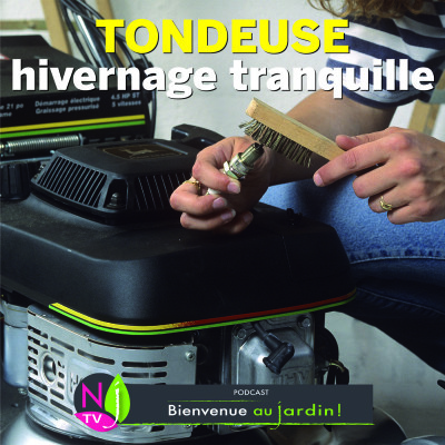 PAROLES D'EXPERTS: BIEN HIVERNER LA TONDEUSE cover