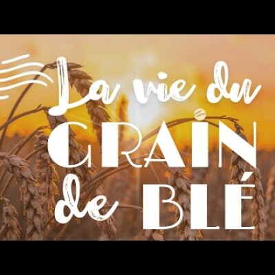 Écoute : Parole et Évangile du jour | Mercredi 10 août • La fécondité cover