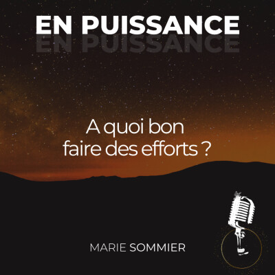 A quoi bon faire des efforts ? cover