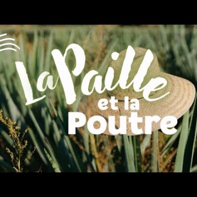 Parole et Évangile du jour | Lundi 23 juin • Fais entrer la lumière en toi ! cover