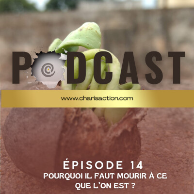 Pourquoi faut-il mourir à ce que l’on est ? cover