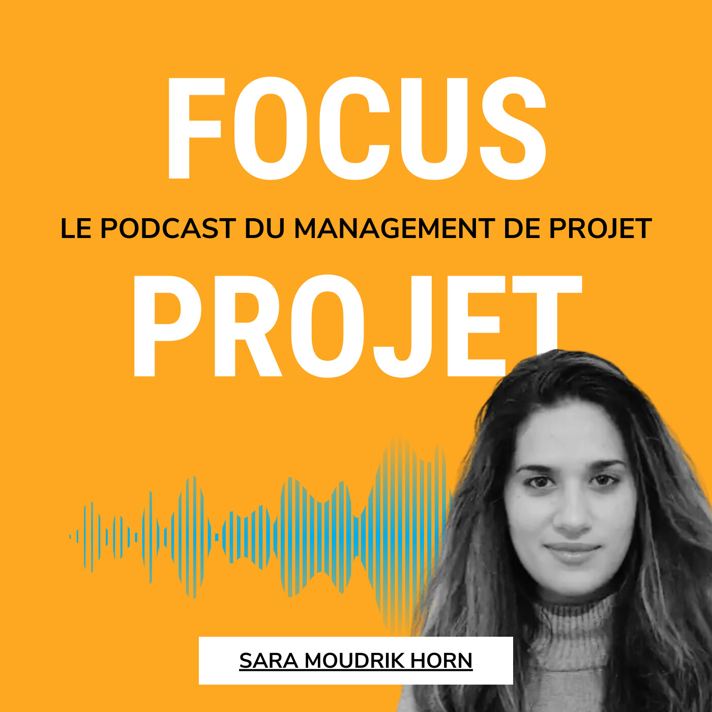 🔍 Focus Projet - Management de Projet, Gestion, Communication, Leadership, Conseil, Astuces et outils pour les chefs de projets