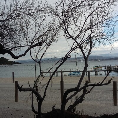 A la lisière du réel, rencontre avec Gaëlle Villedary, artiste-cueilleuse cover