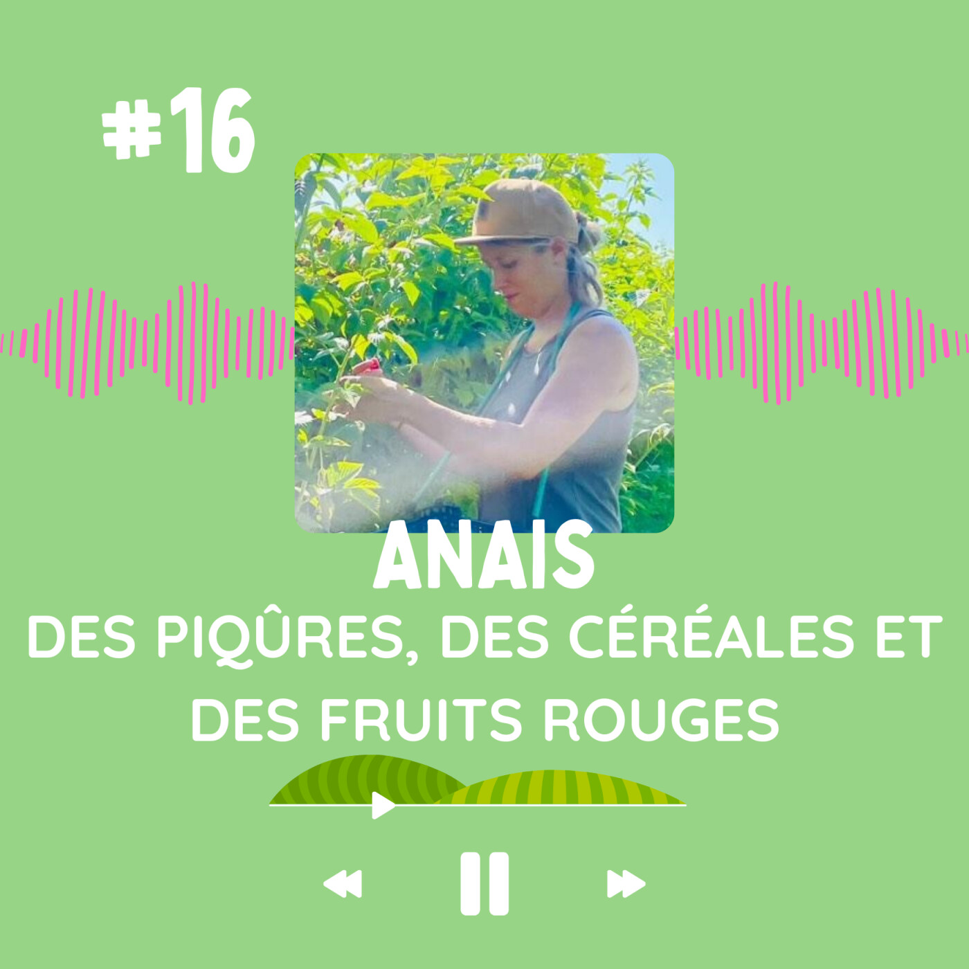 Où ça mène quand on sème