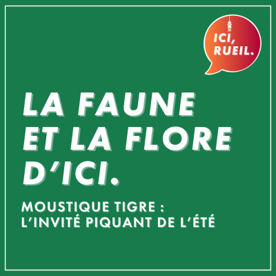 La Faune et la Flore d'Ici : Moustique tigre, l'invité piquant de l'été cover