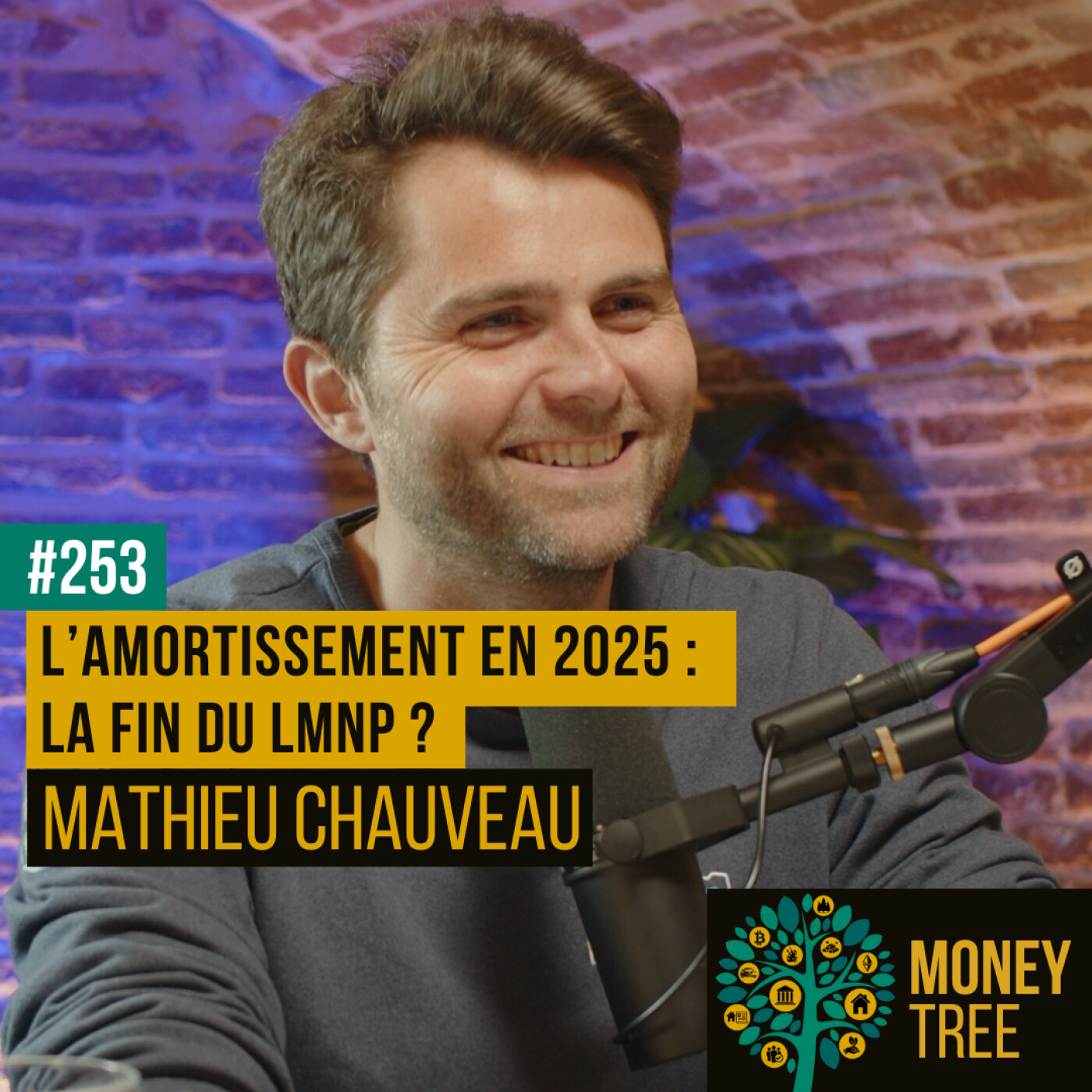 #253 - L’amortissement en 2025 : LA FIN DU LMNP ? (Mathieu Chauveau)