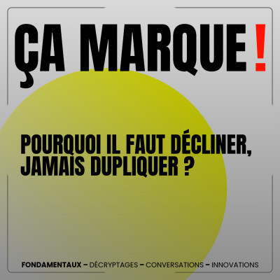 Pourquoi il faut décliner, jamais dupliquer ? | Leçon de marketing digital - SMO - Stratégie de communication - communication digitale cover