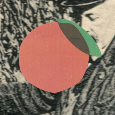 Festival des Murs à Pêches 2019 cover