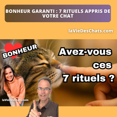 BONHEUR GARANTI : 7 RITUELS APPRIS DE VOTRE CHAT cover