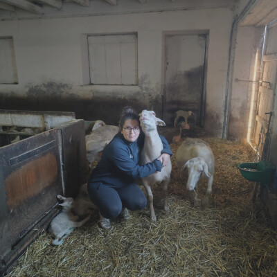 La fierté de produire pour l'AOP Roquefort selon Alice cover
