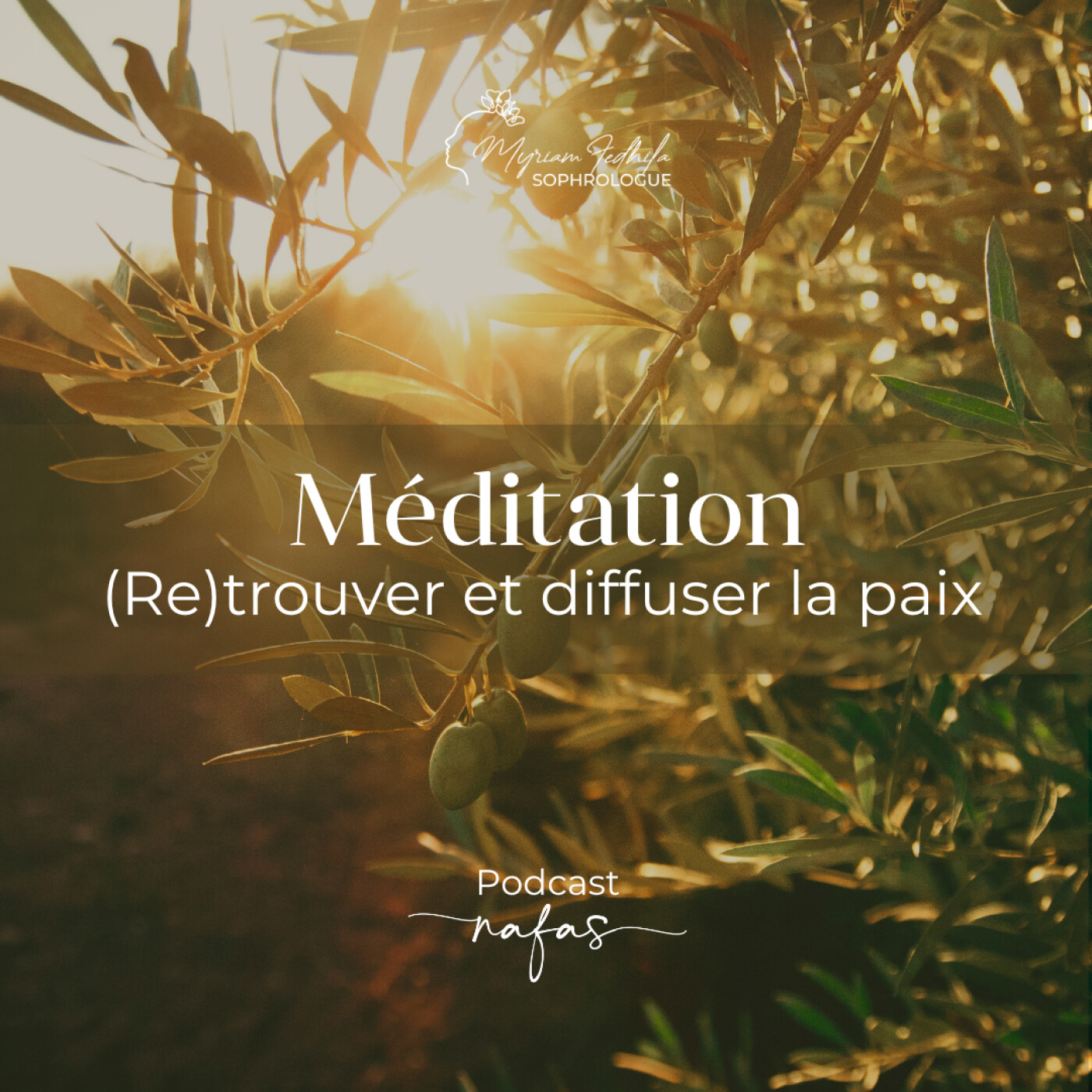 Méditation guidée : (re)trouver et diffuser la paix episode artwork